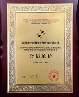 中国信息协会会员证书