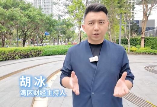 广电集团【湾区财经频道】采访中研普华产业研究院李仲越院长